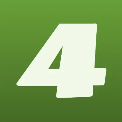4shina.com, шиномонтажная мастерская, лого-визитка