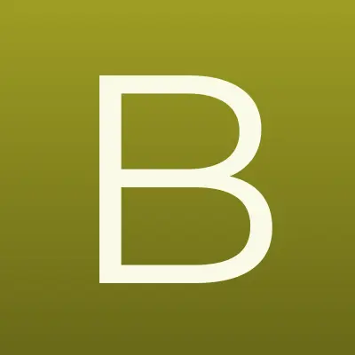 BSService, автосервис, лого-визитка