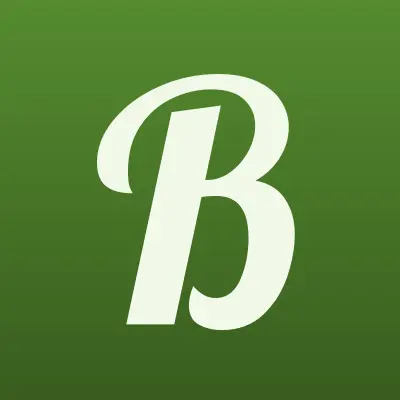 Беловсервис, автосервис, лого-визитка