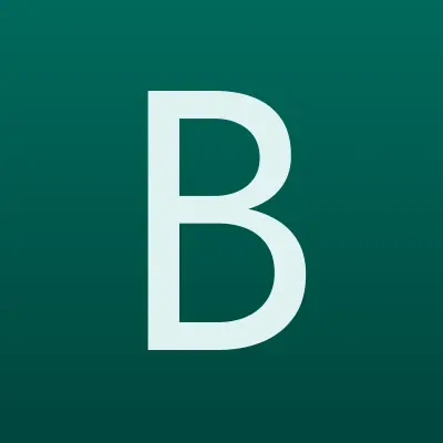 Бруно, сервисный центр, лого-визитка