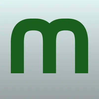 Мега Пати, лого-визитка