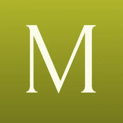 Mishock.ru, интернет-магазин, лого-визитка