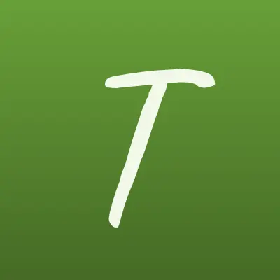 ТверьСтомТорг, интернет-магазин стоматологических материалов, лого-визитка