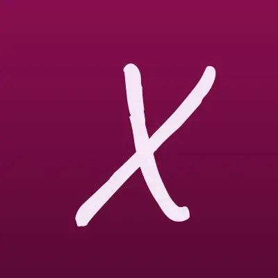 x_project, студия автозвука, лого-визитка